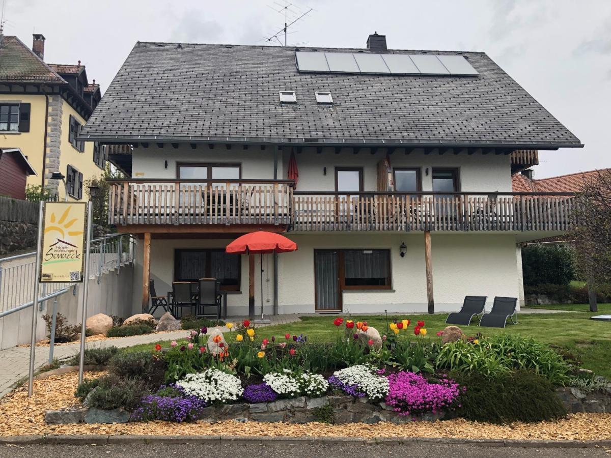 Landhotel Und Apartments Sonneck Feldberg  Exterior photo