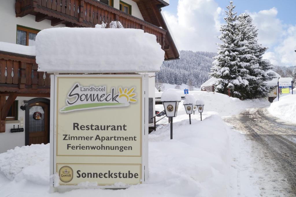 Landhotel Und Apartments Sonneck Feldberg  Exterior photo