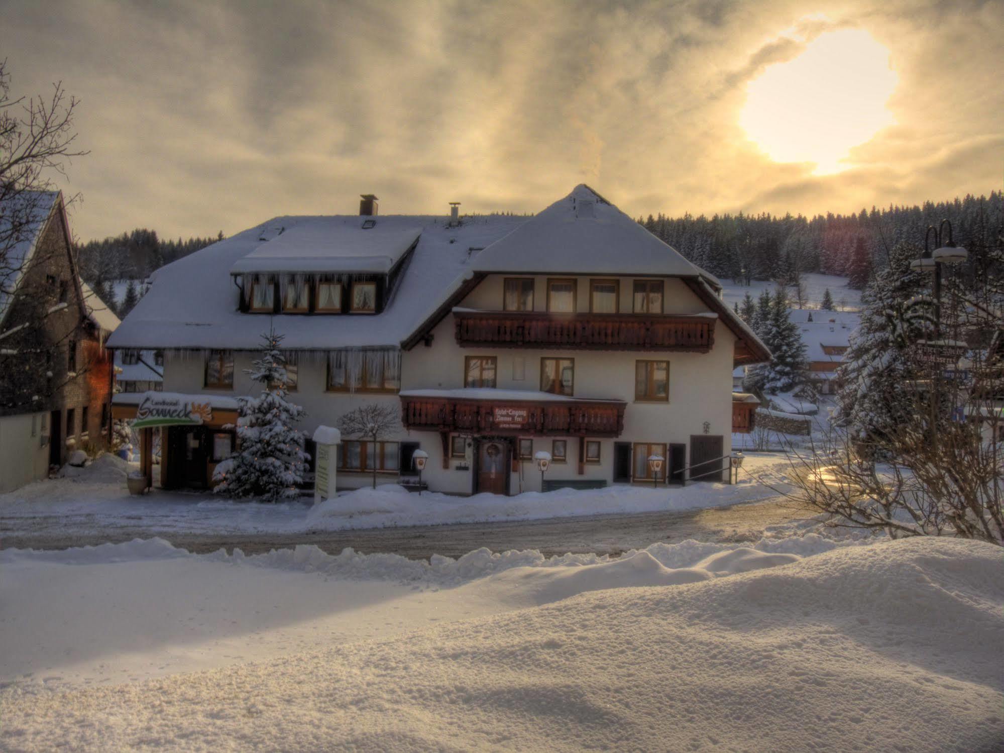 Landhotel Und Apartments Sonneck Feldberg  Exterior photo