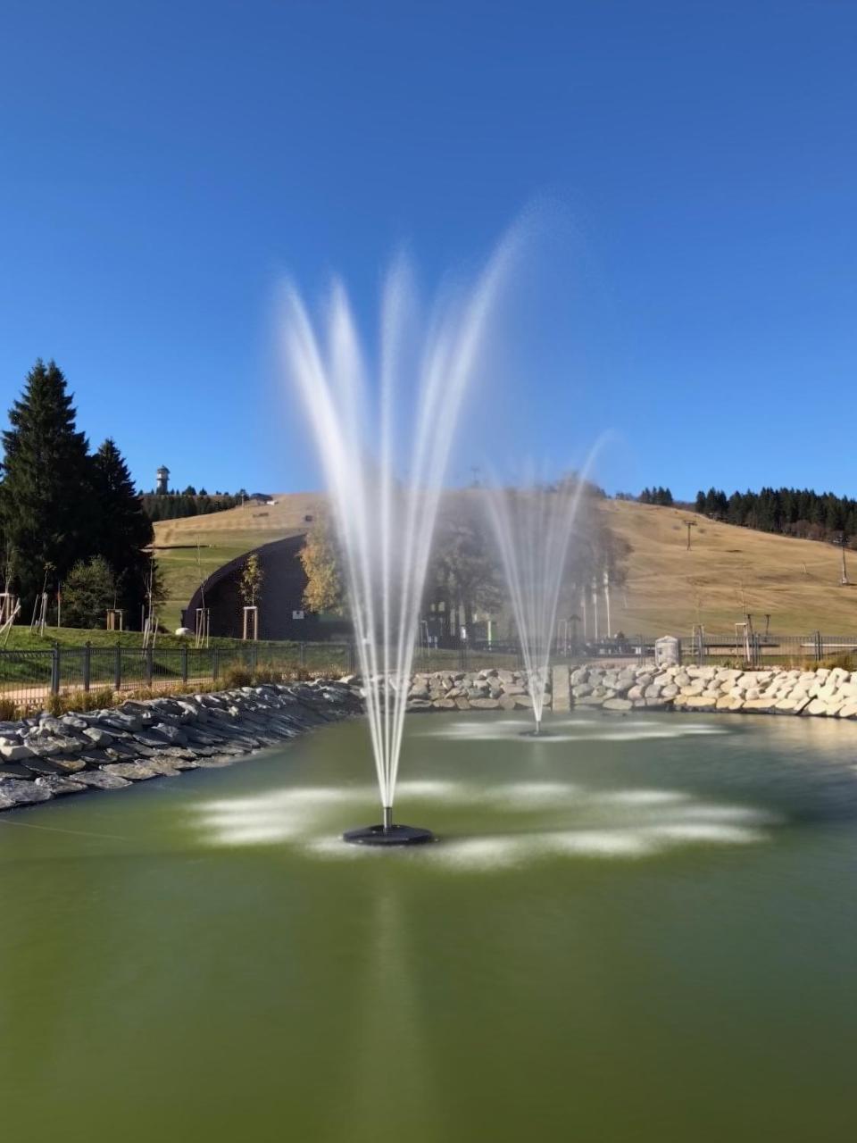 Landhotel Und Apartments Sonneck Feldberg  Exterior photo
